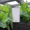 Nokia Beacon 2, Internetan di Dalam Ruangan Makin Lancar dan Nyaman